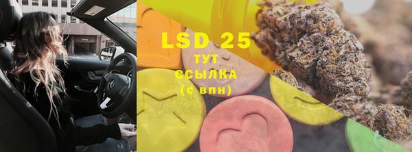 спайс Богданович