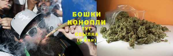 МДПВ Богородск