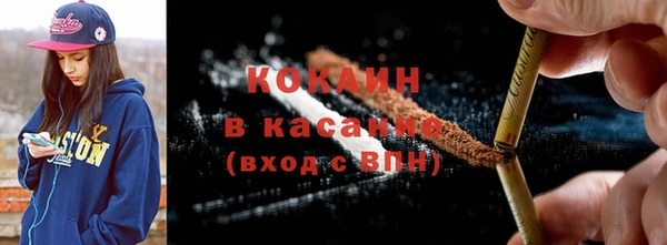 спайс Богданович
