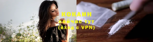 МДПВ Богородск