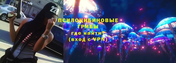 спайс Богданович