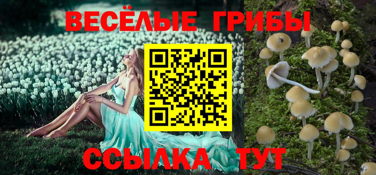 Псилоцибиновые грибы MAGIC MUSHROOMS Верхняя Пышма